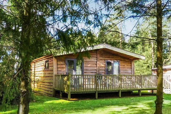 Chatsworth Elite Vogue (S) 1 - Darwin Forest, Matlock