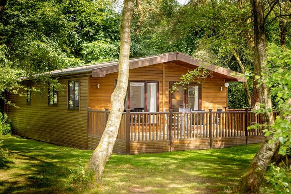 Haddon Classic Vogue 2 (Pet) - Darwin Forest, Matlock