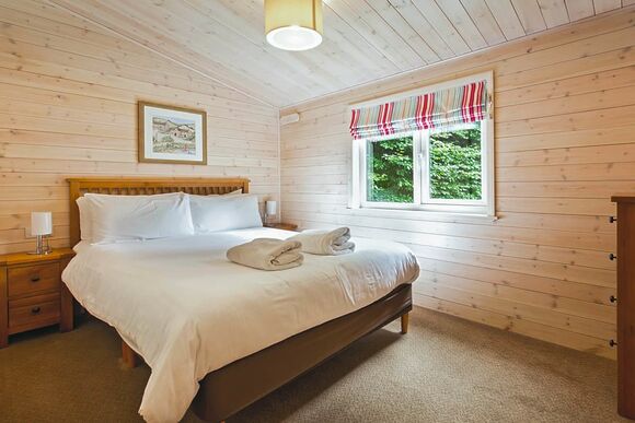 Haddon Classic Vogue 2 (Pet) - Darwin Forest, Matlock