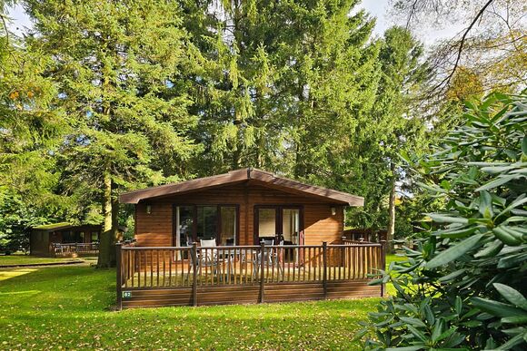 Haddon Classic Vogue 2 - Darwin Forest, Matlock