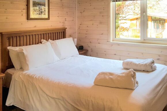 Haddon Classic Vogue 2 WF (Pet) - Darwin Forest, Matlock