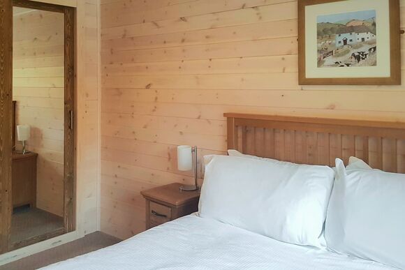 Haddon Classic Vogue 2 WF (Pet) - Darwin Forest, Matlock