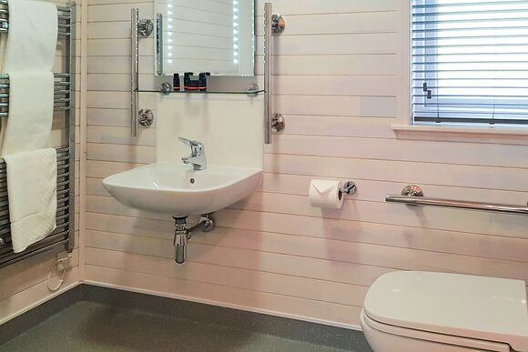 Haddon Classic Vogue 2 WF (Pet) - Darwin Forest, Matlock