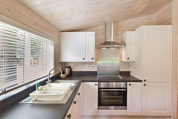 Haddon Classic Vogue (S) 2 (Pet) - Darwin Forest, Matlock