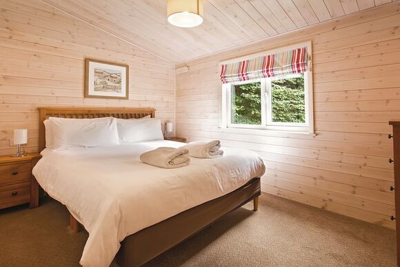 Haddon Classic Vogue (S) 2 (Pet) - Darwin Forest, Matlock