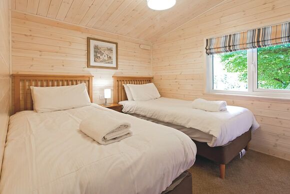 Haddon Classic Vogue (S) 2 (Pet) - Darwin Forest, Matlock