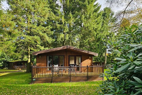 Haddon Classic Vogue (S) 2 - Darwin Forest, Matlock