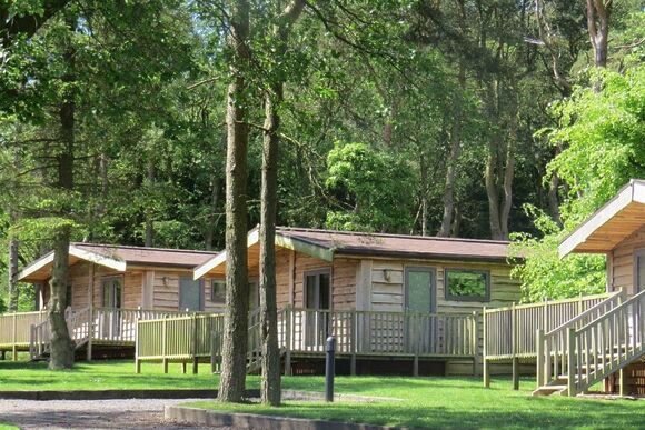 Chatsworth Elite Vogue 2 - Darwin Forest, Matlock