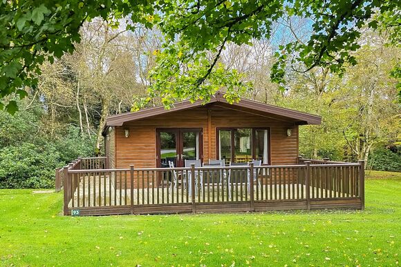 Haddon Classic Vogue (S) 3 (Pet) - Darwin Forest, Matlock