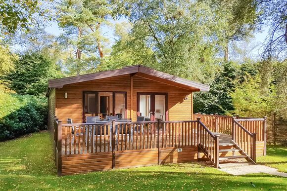 Haddon Classic Vogue (S) 3 (Pet) - Darwin Forest, Matlock