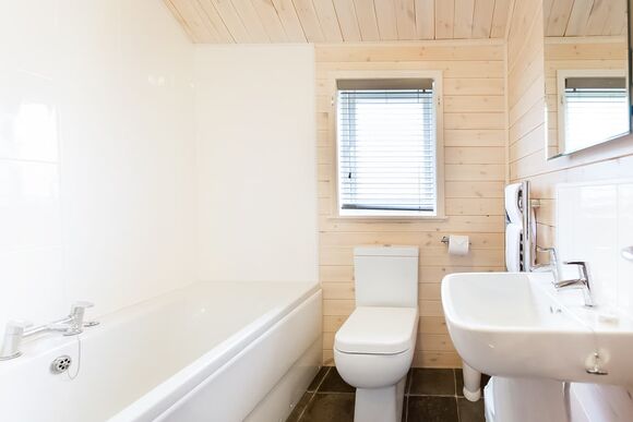 Haddon Classic Vogue (S) 3 (Pet) - Darwin Forest, Matlock