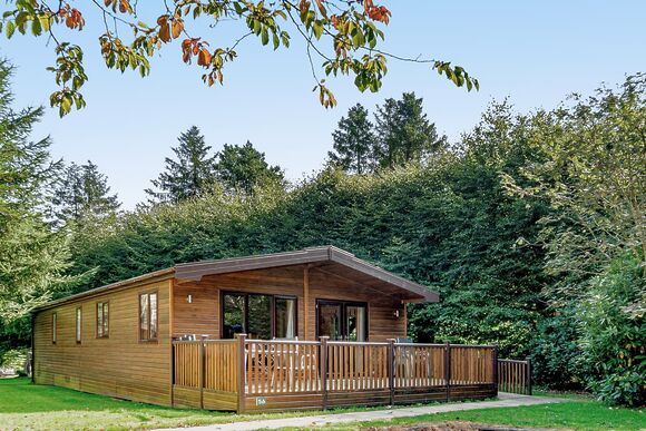 Haddon Classic Vogue 3 WF (Pet) - Darwin Forest, Matlock