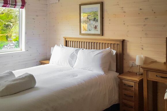 Haddon Classic Vogue 3 WF (Pet) - Darwin Forest, Matlock