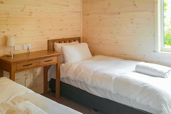 Haddon Classic Vogue 3 WF (Pet) - Darwin Forest, Matlock