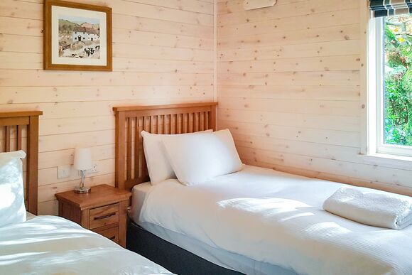 Haddon Classic Vogue 3 WF (Pet) - Darwin Forest, Matlock