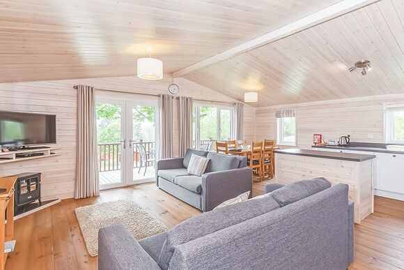 Haddon Classic Vogue 3 (Pet) - Darwin Forest, Matlock