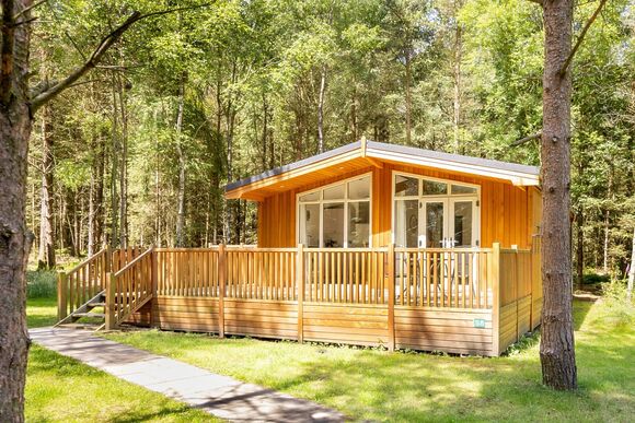 Spinney 1 Spa (Pet) - Darwin Forest, Matlock