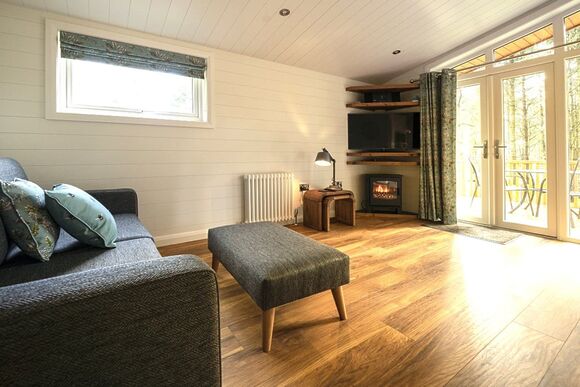 Spinney 1 Spa (Pet) - Darwin Forest, Matlock