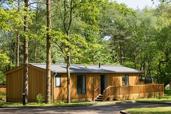 The Coppice 1  Spa (Pet) - Darwin Forest, Matlock