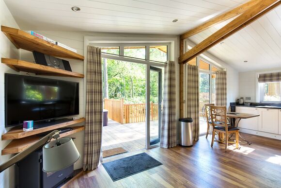 The Coppice 1  Spa (Pet) - Darwin Forest, Matlock