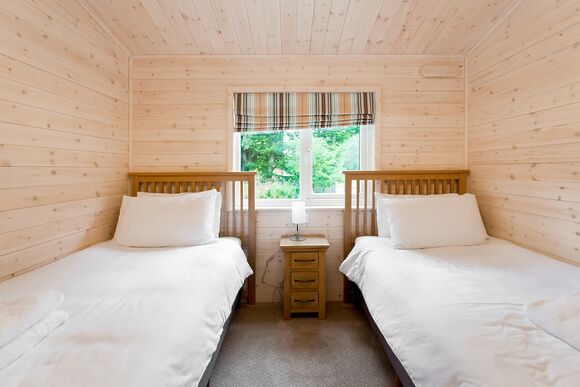 Haddon Classic Vogue 4 (Pet) - Darwin Forest, Matlock