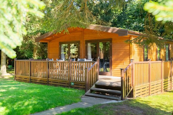 Chatsworth Elite Vogue (S) 4 - Darwin Forest, Matlock