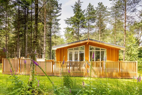 Spinney 2 Spa (Pet) - Darwin Forest, Matlock