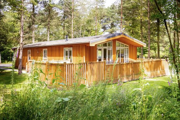 Spinney 3 Spa (Pet) - Darwin Forest, Matlock