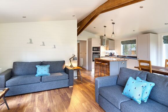 Spinney 3 Spa (Pet) - Darwin Forest, Matlock