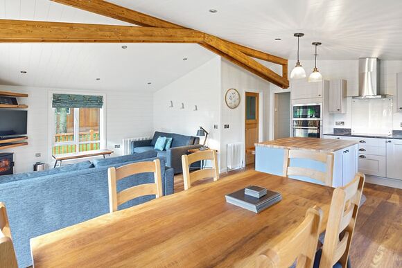 Spinney 3 Spa (Pet) - Darwin Forest, Matlock