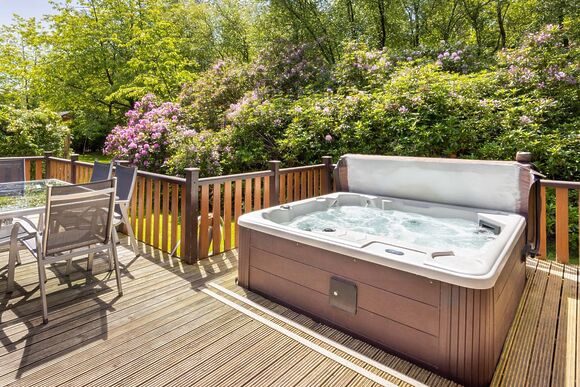 Haddon Classic Vogue 4 Spa (Pet) - Darwin Forest, Matlock