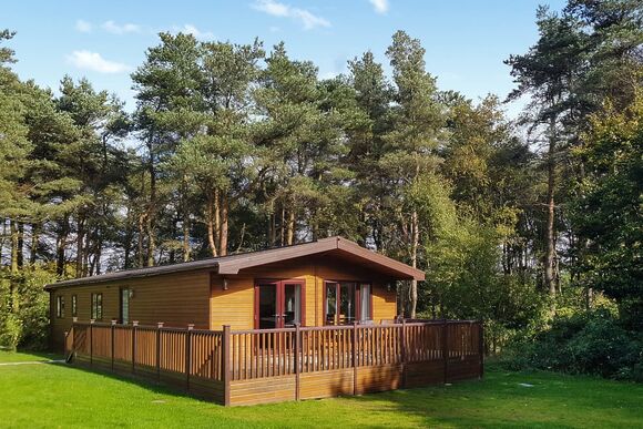 Haddon Classic Vogue 4 Spa (Pet) - Darwin Forest, Matlock