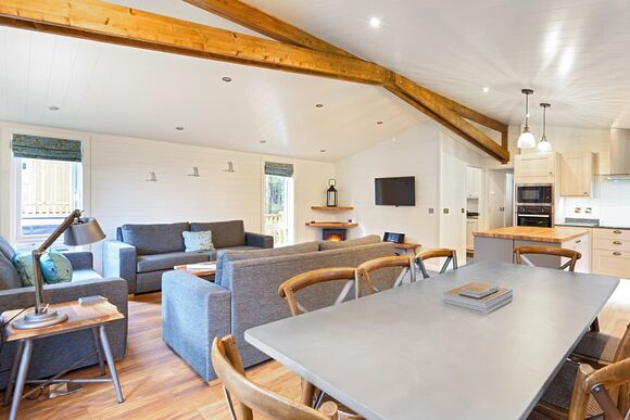 Spinney 4 Spa (Pet) - Darwin Forest, Matlock