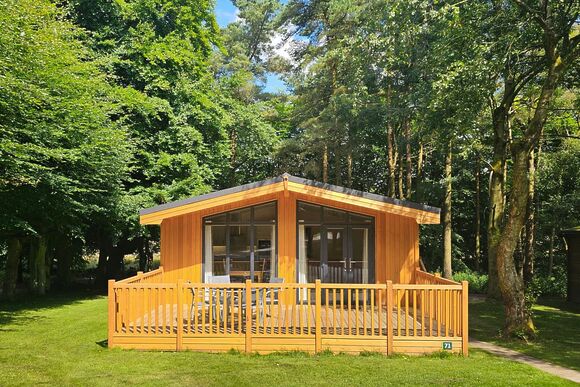 Chatsworth Elite Vogue 2 (Pet) - Darwin Forest, Matlock