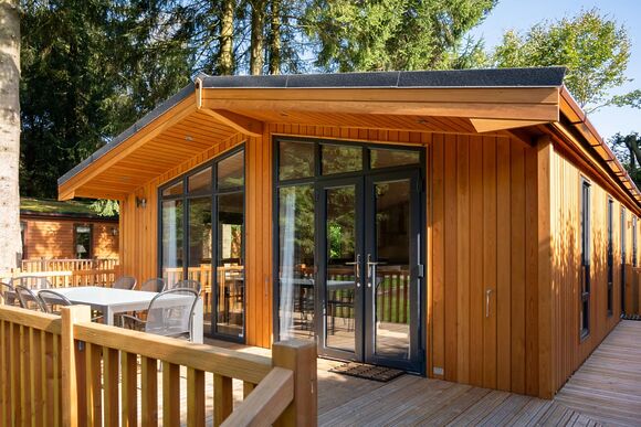 Chatsworth Elite Vogue 4 (Pet) - Darwin Forest, Matlock