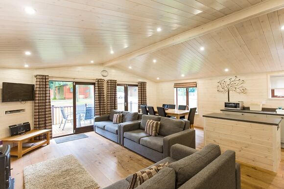 Chatsworth Elite Vogue 4 (Pet) - Darwin Forest, Matlock