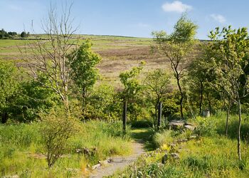 Daisy Bank Camp, Hebden Bridge