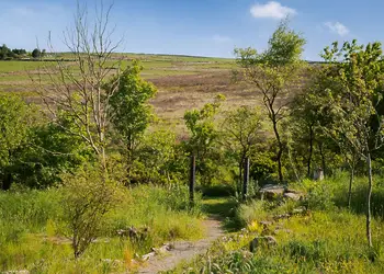 Daisy Bank Camp, Hebden Bridge