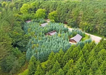 Delamere Forest Lodges, Frodsham