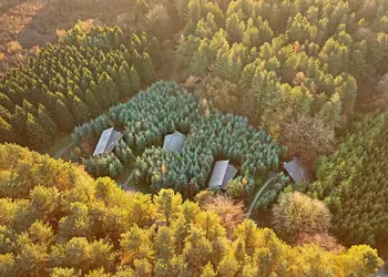 Delamere Forest Lodges, Frodsham