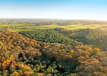 Delamere Forest Lodges, Frodsham
