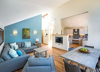 Silver Birch 2 WF Pet - Delamere Forest Lodges, Frodsham