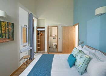 Silver Birch 2 WF Pet - Delamere Forest Lodges, Frodsham