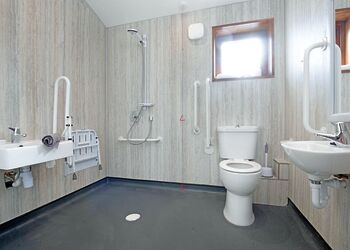 Silver Birch 2 WF Pet - Delamere Forest Lodges, Frodsham