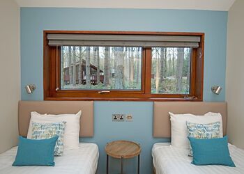 Silver Birch 2 - Delamere Forest Lodges, Frodsham