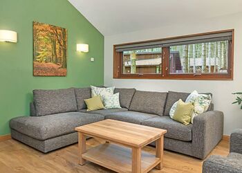 Golden Oak 4 - Delamere Forest Lodges, Frodsham