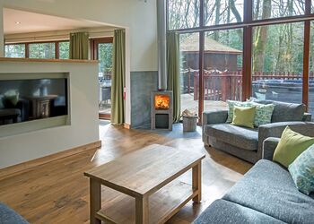 Golden Oak Treehouse - Delamere Forest Lodges, Frodsham