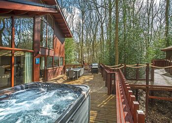 Golden Oak Treehouse - Delamere Forest Lodges, Frodsham