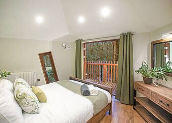 Golden Oak Treehouse - Delamere Forest Lodges, Frodsham