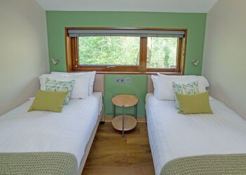 Golden Oak Treehouse - Delamere Forest Lodges, Frodsham